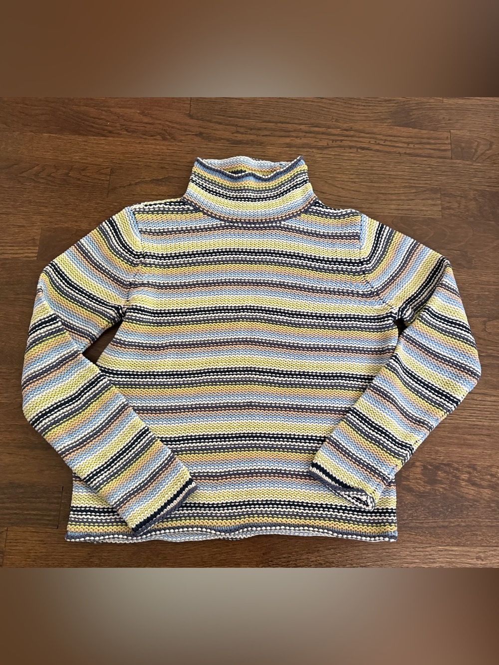Striped Turtleneck Sweater